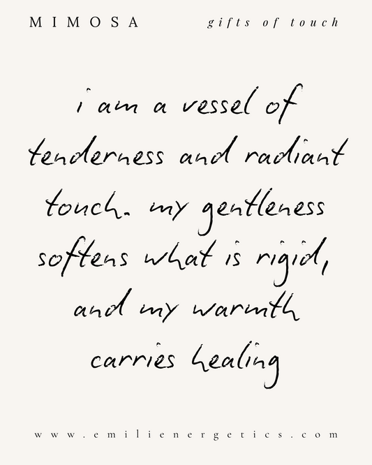 mimosa ~ gifts of touch