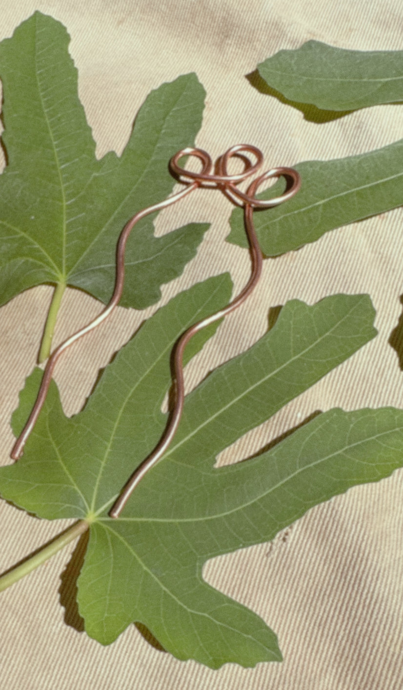 fig ~ offerings of care