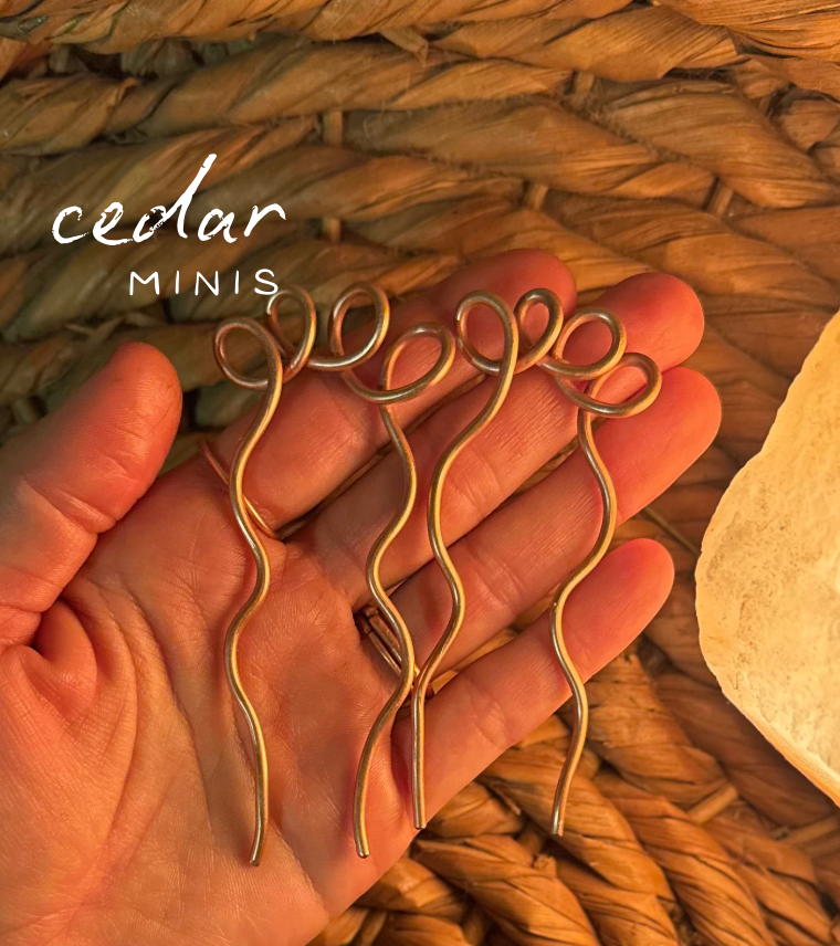 cedar ~ whispers of love